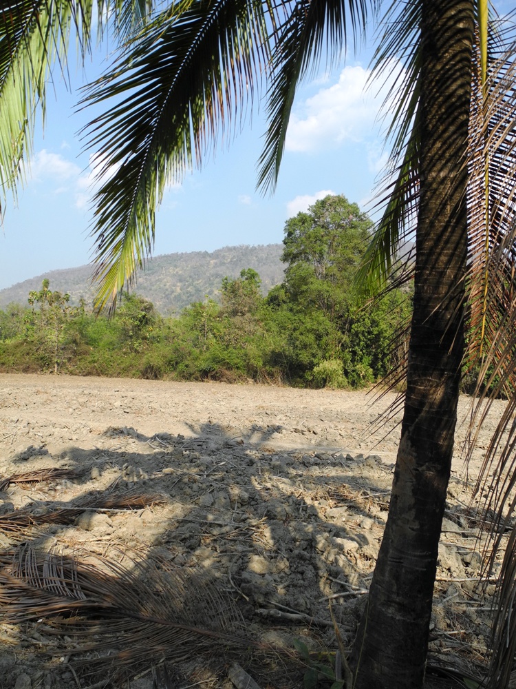 Ramkhamhaeng National park