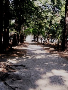 Phraya Nakhon Cave